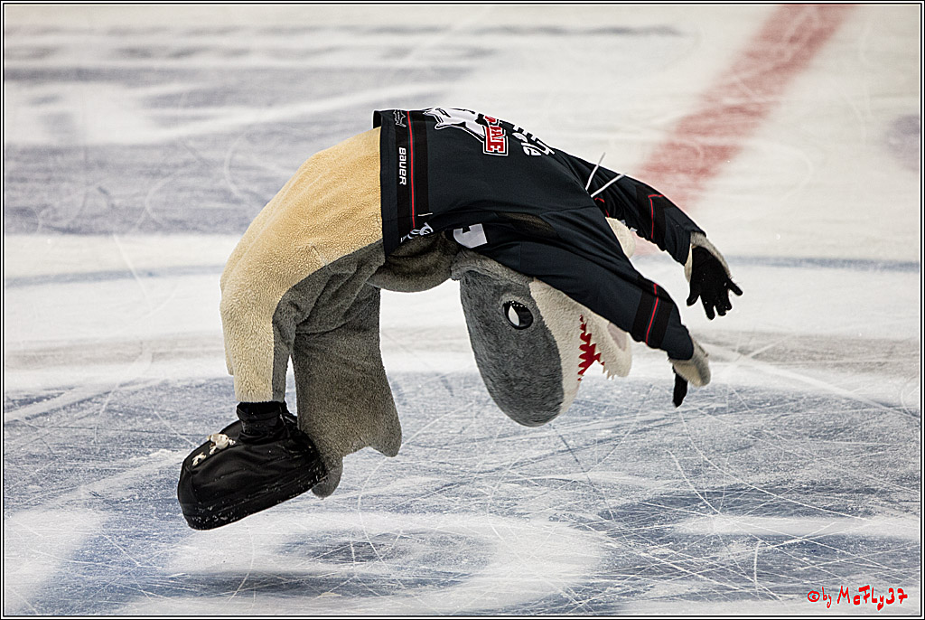 Koelner Haie - Duesseldorfer EG, 18.12.2016